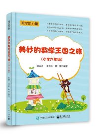 美妙的数学王国之旅（小学六年级）