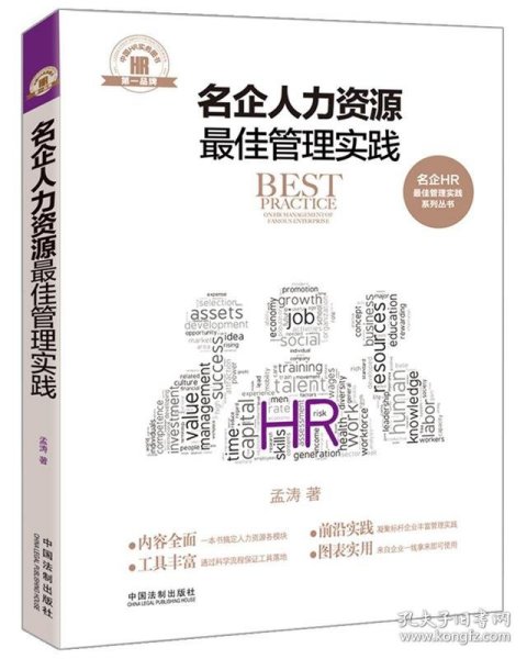 名企人力资源最佳管理实践/名企HR最佳管理实践系列丛书