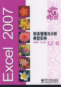 Excel 2007 财务管理与分析典型实例