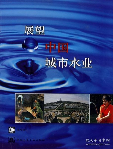 展望中国城市水业