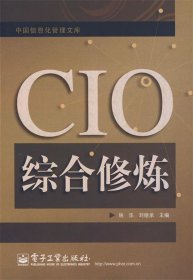 CIO综合修炼