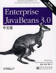 Enterprise JavaBeans 3.0中文版