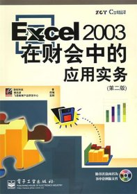 Excel2003在财会中的应用实务