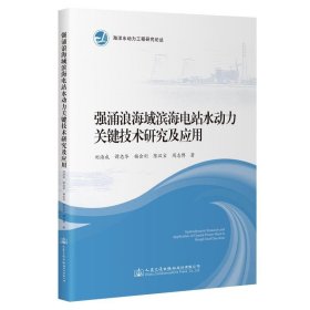 強(qiáng)涌浪海域?yàn)I海電站水動力關(guān)鍵技術(shù)研究及應(yīng)用