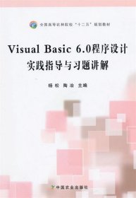 Visual Basic 6 0程序设计实践指导与习题讲解