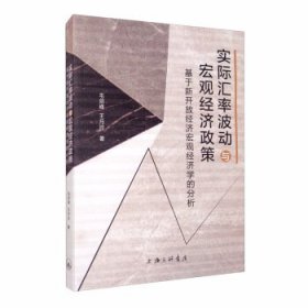 实际汇率波动与宏观经济政策—基于新开放经济宏观经济学的分析