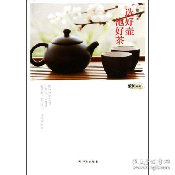 茶风系列：选好壶 泡好茶