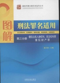 图解刑法罪名适用（第3分册）侵犯公民人身权利、民主权利罪、侵犯财产罪