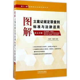 图解立案证据定罪量刑标准与法律适用（第十一版，第五分册）