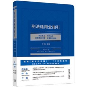 刑法适用全指引：罪名要义、关联法规、立案追诉标准、定罪量刑标准