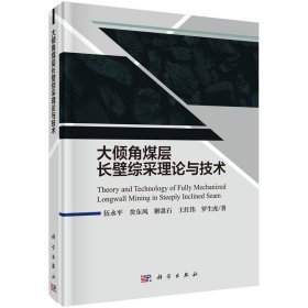 大傾角煤層長壁綜采理論與技術(shù)