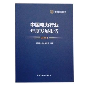 中国电力行业年度发展报告2021