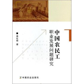 中国农民工职业发展问题研究