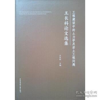 工程建设中的土力学及岩土工程问题——王长科论文选集