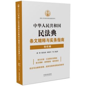 中华人民共和国民法典条文精释与实务指南：物权编