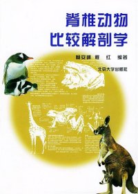 脊椎动物比较解剖学