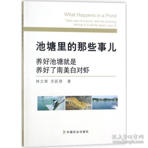 池塘里的那些事儿：养好池塘就是养好了南美白对虾