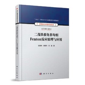 二茂铁催化非均相Fenton反应原理与应用