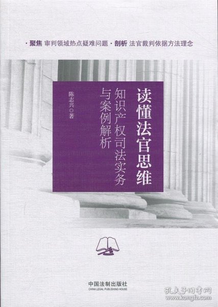 读懂法官思维：知识产权司法实务与案例解析