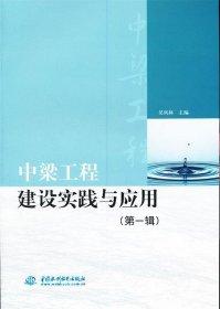 中梁工程建设实践与应用