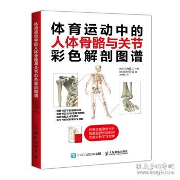 体育运动中的人体骨骼与关节彩色解剖图谱