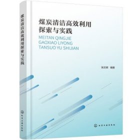 煤炭清洁高效利用探索与实践