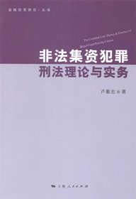 非法集资犯罪刑法理论与实务