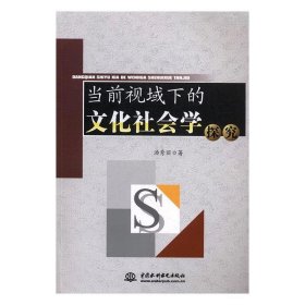 当前视域下的文化社会学探究