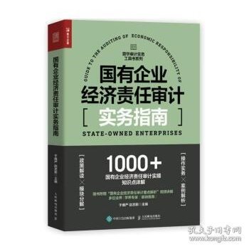 国有企业经济责任审计实务指南