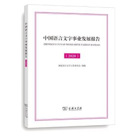 中国语言文字事业发展报告