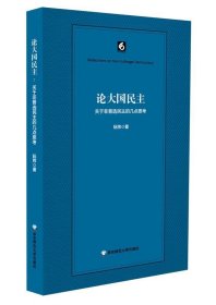 论大国民主：关于非普选民主的几点思考