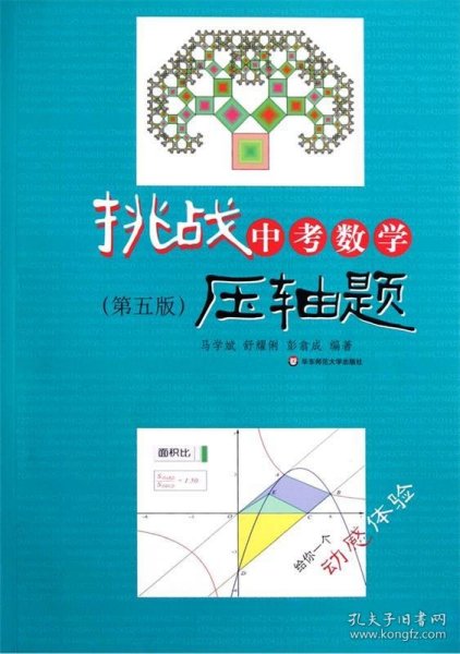 挑战中考数学压轴题