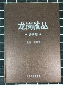 龙岗法丛·调研卷