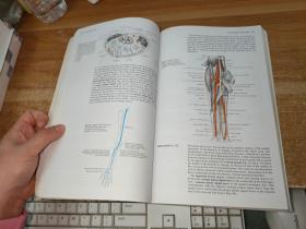 Cunningham's Manual of Practical Anatomy坎宁安实用解剖学手册1