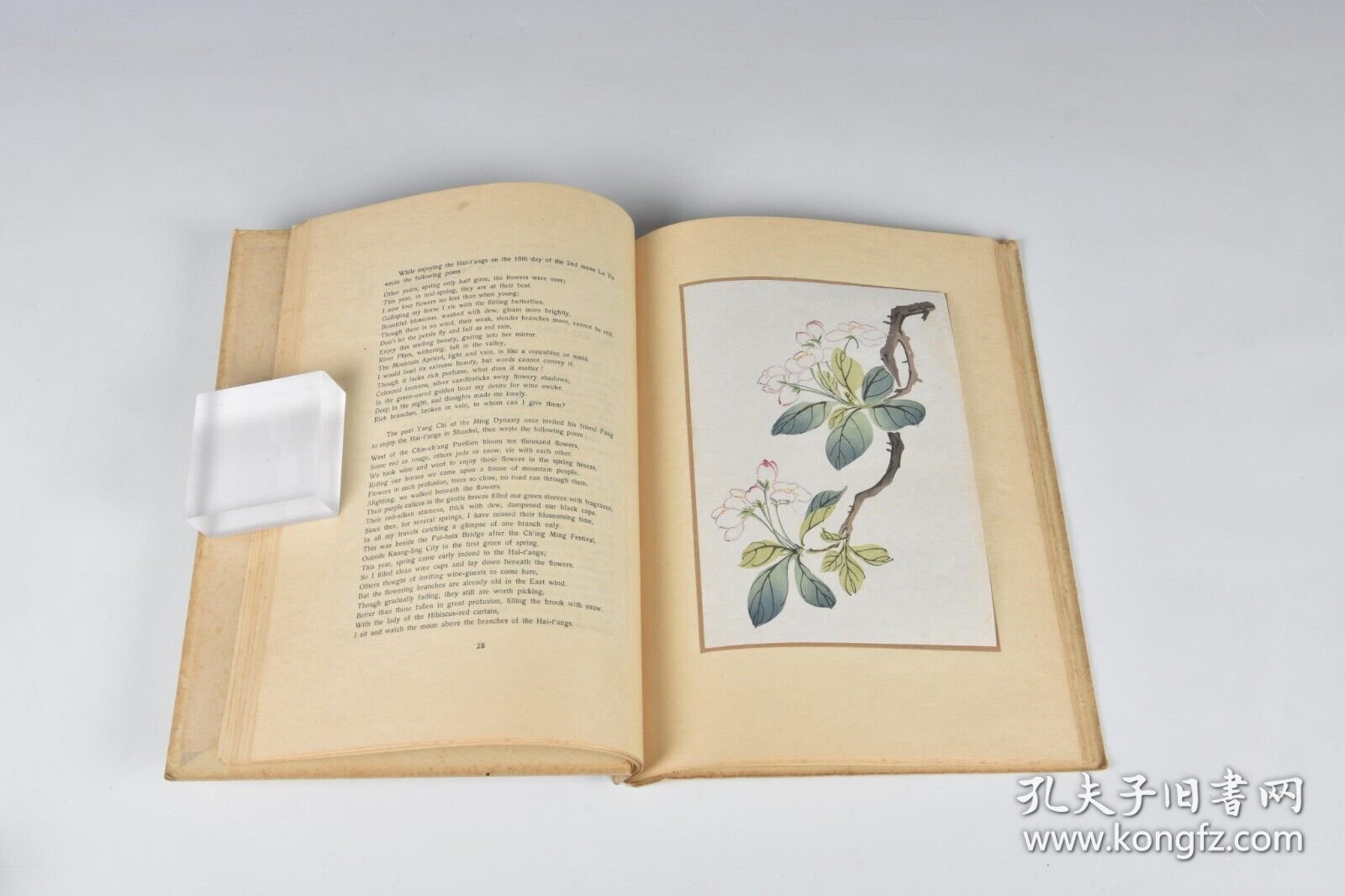 1942年版《群芳图谱》 （FRAGRANCE FROM A CHINESE GARDEN）19幅木版水印花卉图