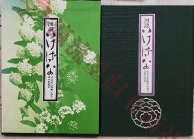 図说 いけばな 社会文化体系にみる日本花道史 久保田滋 瀬川健一郎 著 昭和52年