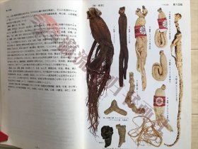  原色和漢薬図鑑 上巻/下巻 ２冊 難波恒雄　保育社　昭和55年
