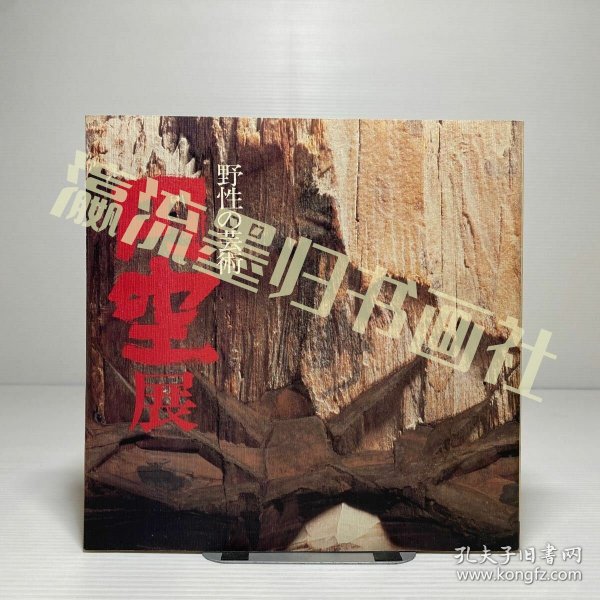 野性の芸術 円空展 図録 朝日新聞社 1980