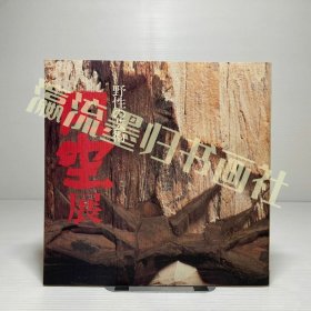 野性の芸術 円空展 図録 朝日新聞社 1980