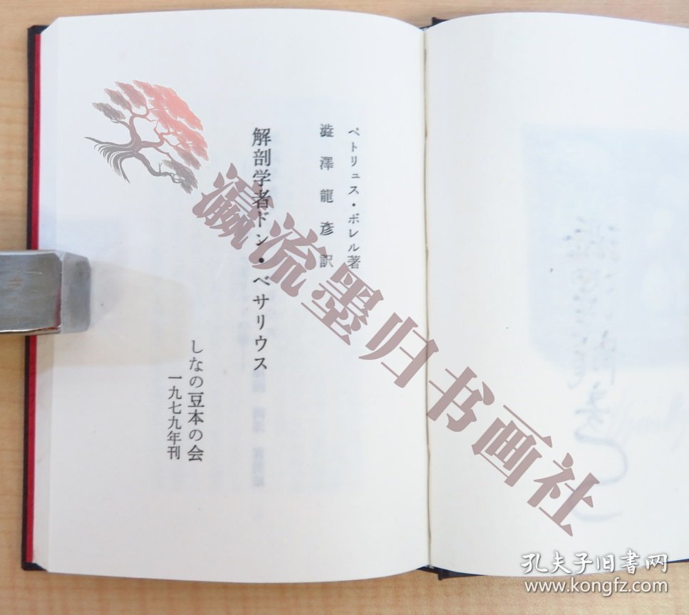  澁澤龍彦訳『解剖学者ドン・ベサリウス』限定200部 昭和54年しなの豆本の会刊 