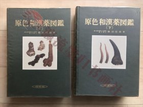  原色和漢薬図鑑 上巻/下巻 ２冊 難波恒雄　保育社　昭和55年