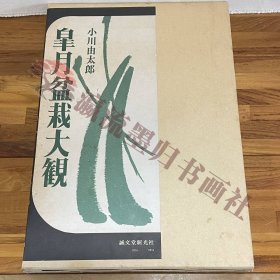 皐月盆栽大観　小川由太郎　诚文堂新光社　昭和49年