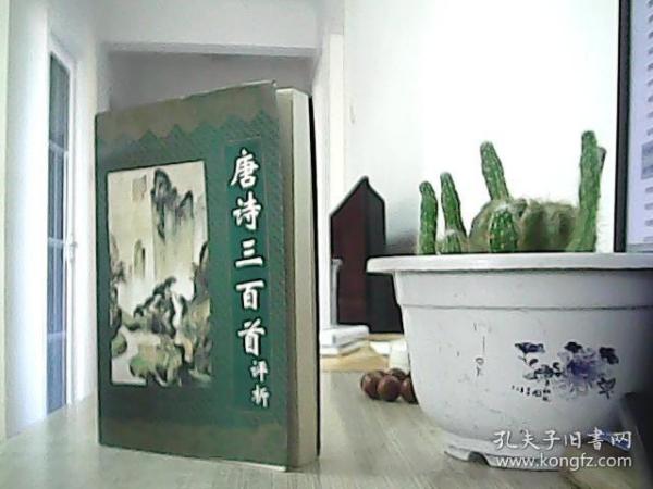 唐诗三百首评析