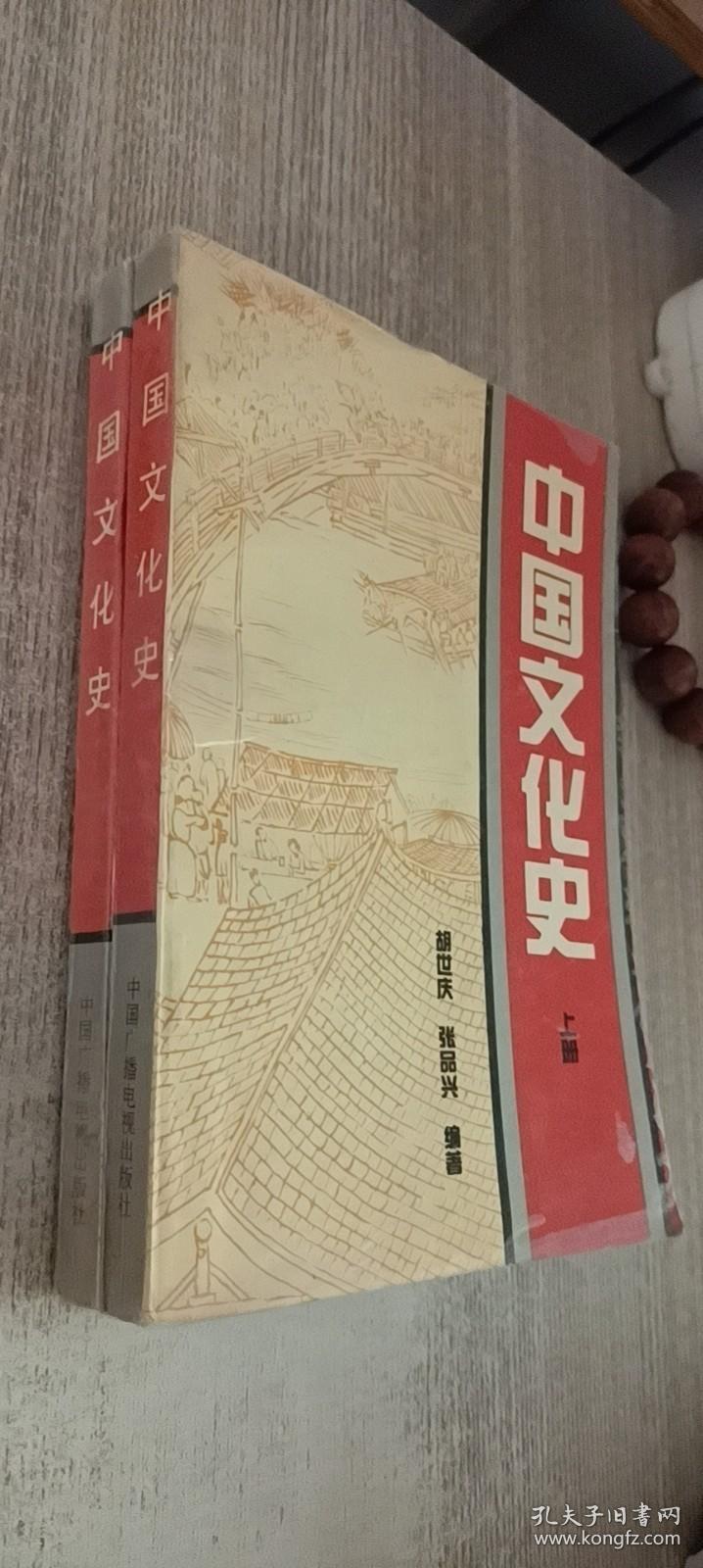 中国文化史.上下册