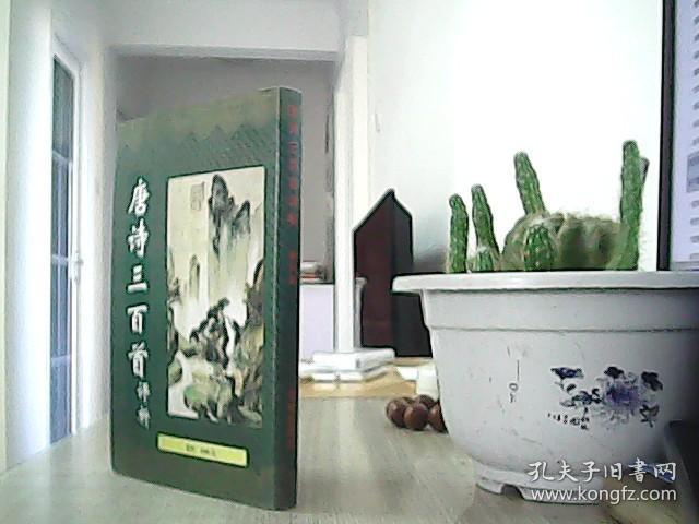 唐诗三百首评析