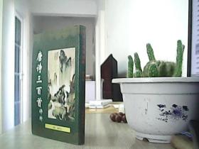 唐诗三百首评析