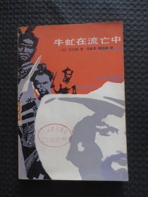 牛虻在流亡中【馆藏，1981年1版1印】