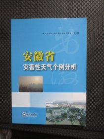 安徽省灾害性天气个例分析【正版现货，2017年1版1印，整洁品好】