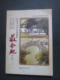 最合肥 第1集：合肥报业传媒集团系列丛书【正版现货，2010年1版1印】