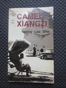 camel xiangzi 骆驼祥子 英文书【正版现货，整洁自然旧】